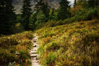 Hiking Path Hiking Path
