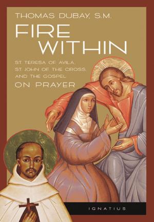 Fire Within cover
